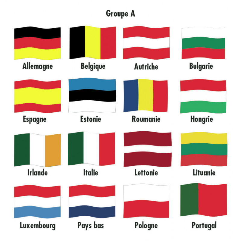 Lot écusson de façade + 3 drapeaux français ou 2 drapeaux français et 1  européen